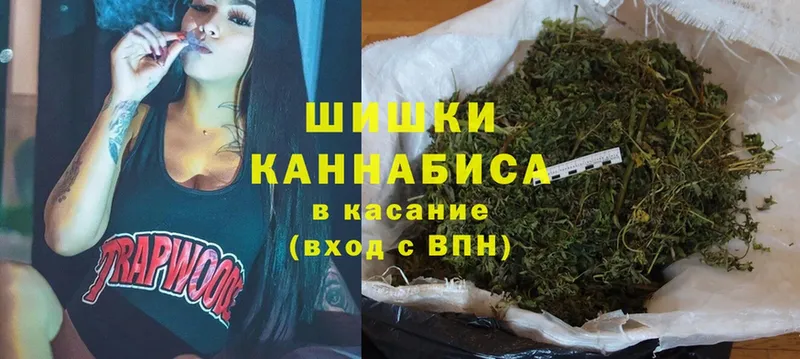 Бошки Шишки THC 21%  наркотики  mega ССЫЛКА  Тара 